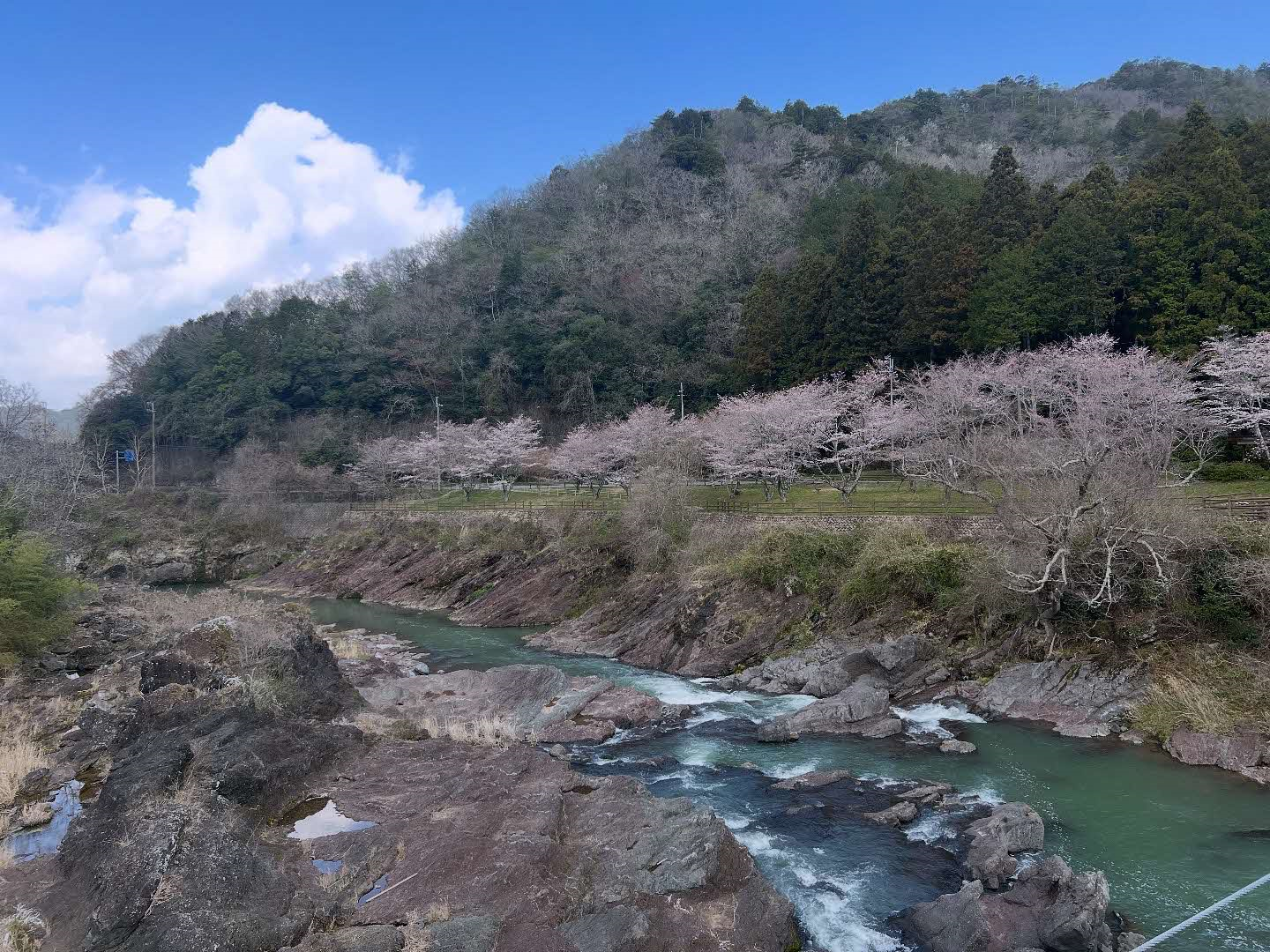 なつ